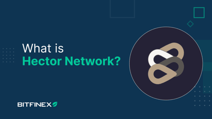 What is Hector Network (HEC)? - Bitfinex blog